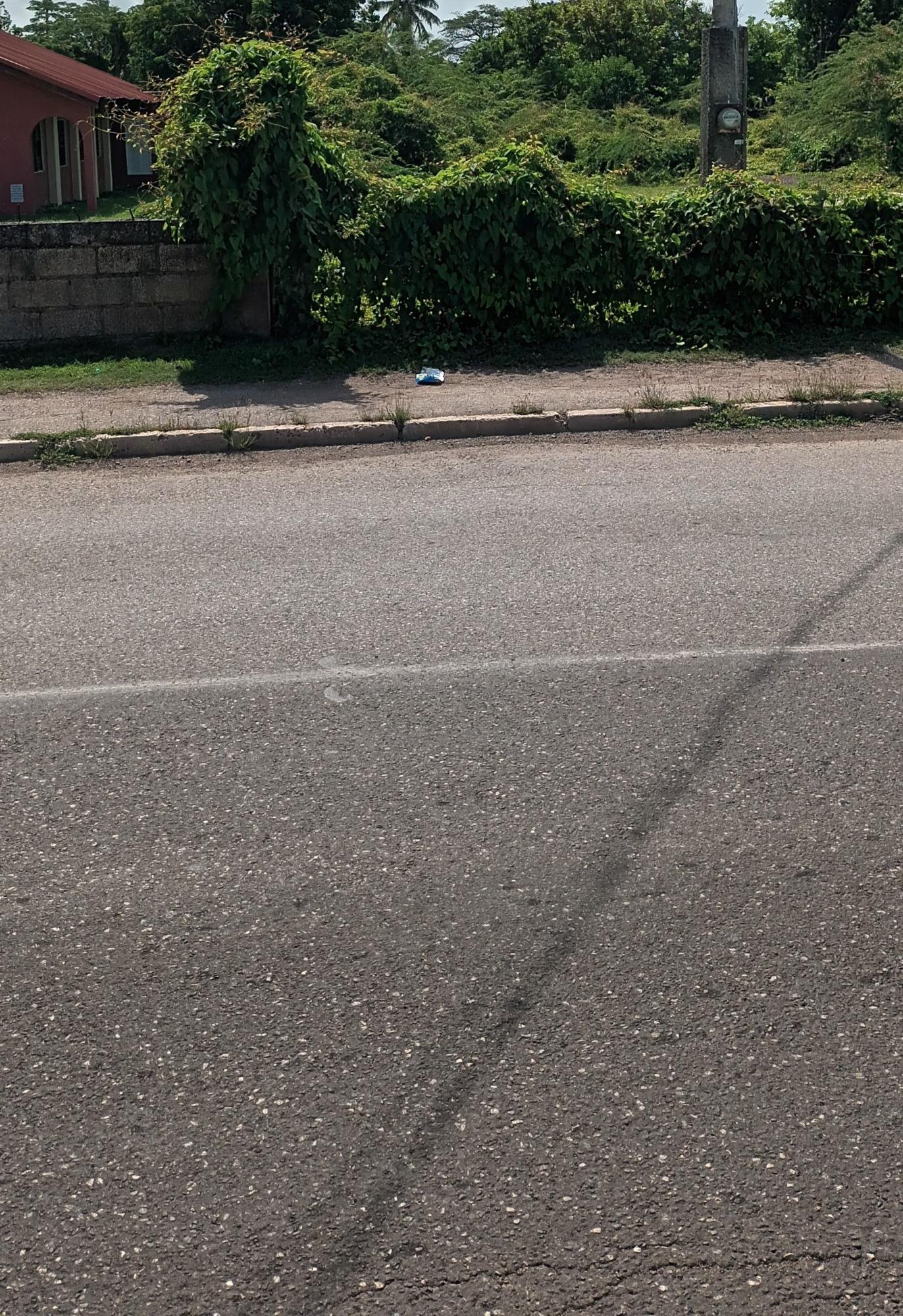 Prime-12-Acre-Residential-Lot-for-Sale-in-Clarendon-Jamaica Third image of Hayes Main Road in Hayes, Clarendon, Jamaica - property is For Sale