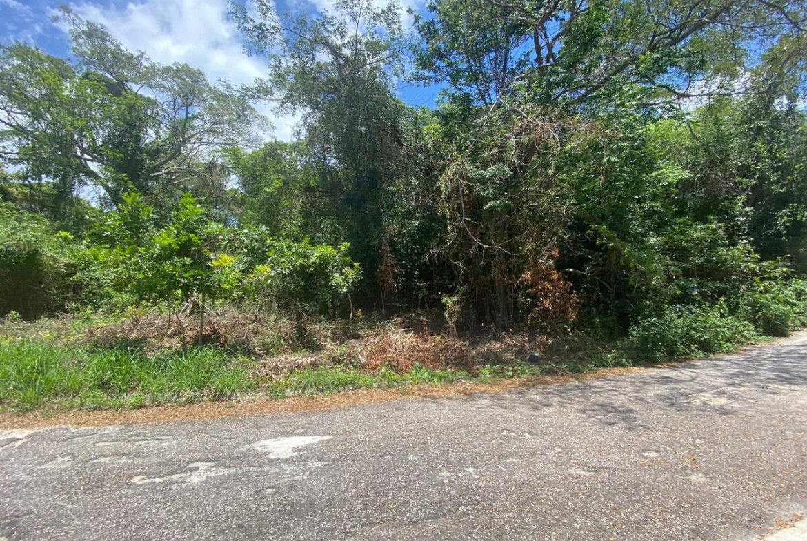 Fourth image of 302 Culloden in White House WD, Westmoreland, Jamaica - property is For Sale