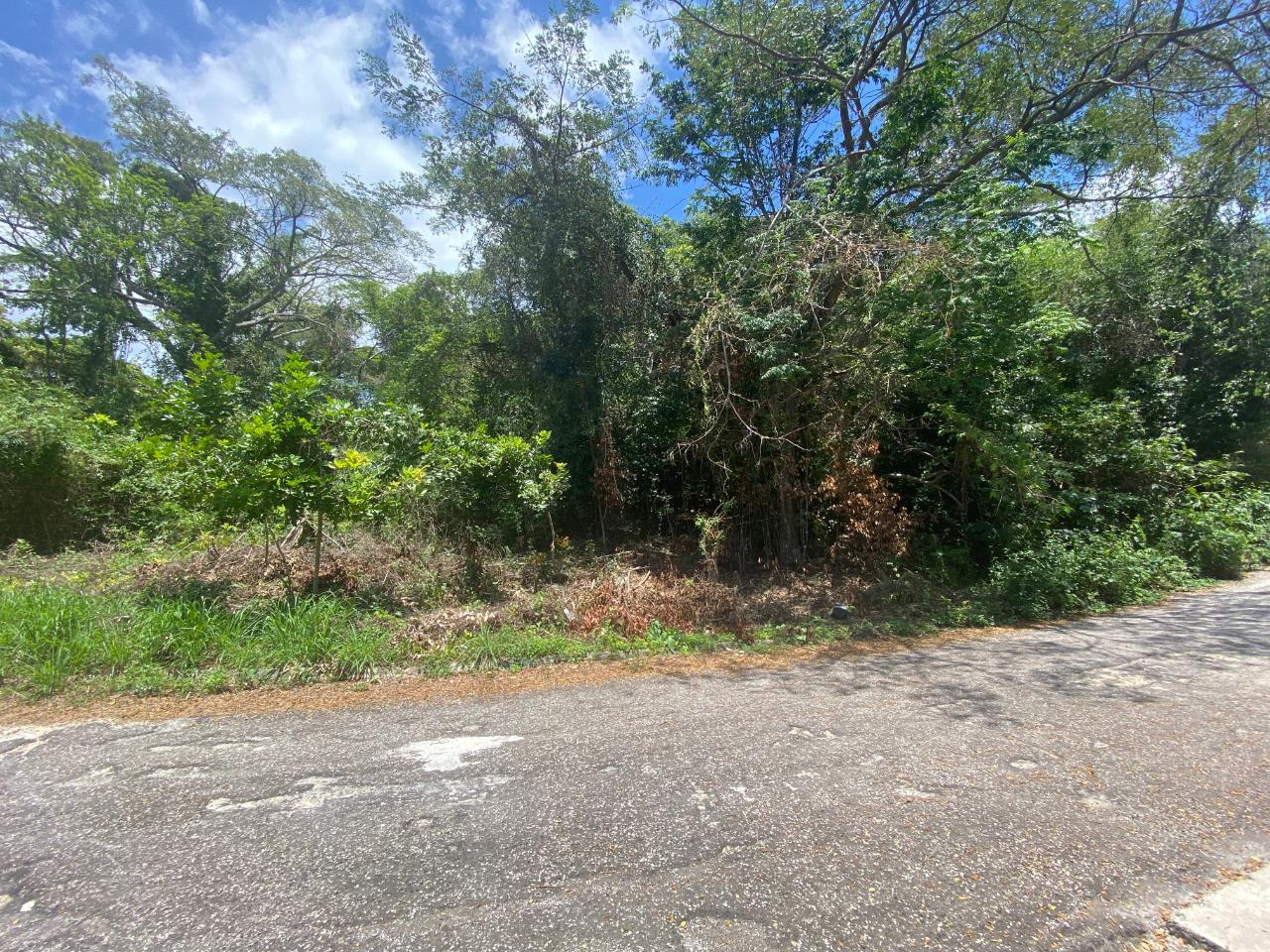 Fourth image of 302 Culloden in White House WD, Westmoreland, Jamaica - property is For Sale