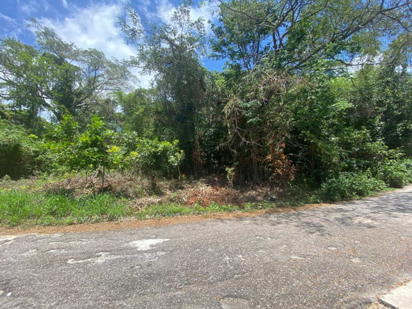 Fourth image of 302 Culloden in White House WD, Westmoreland, Jamaica - property is For Sale