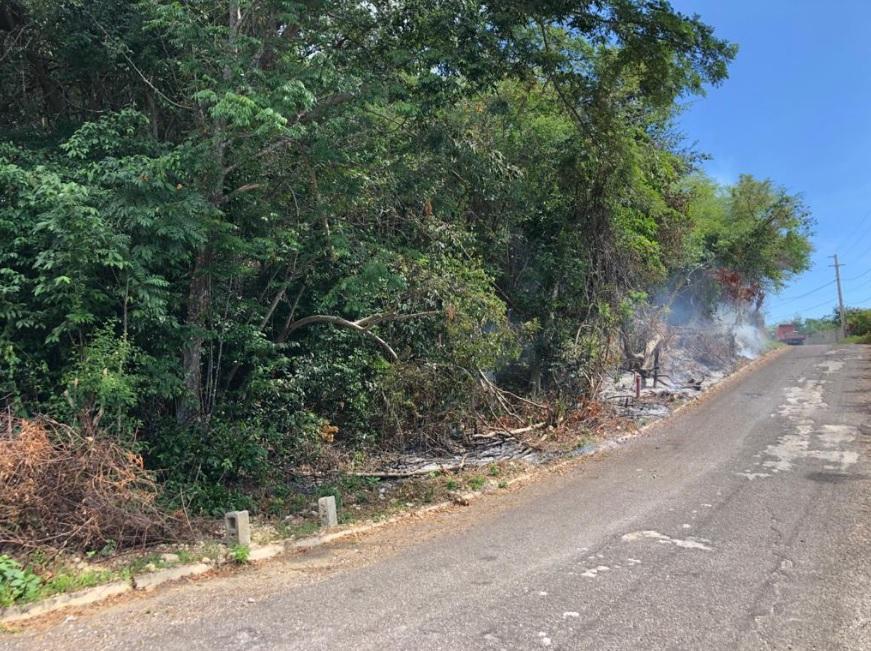 Fifth image of 302 Culloden in White House WD, Westmoreland, Jamaica - property is For Sale