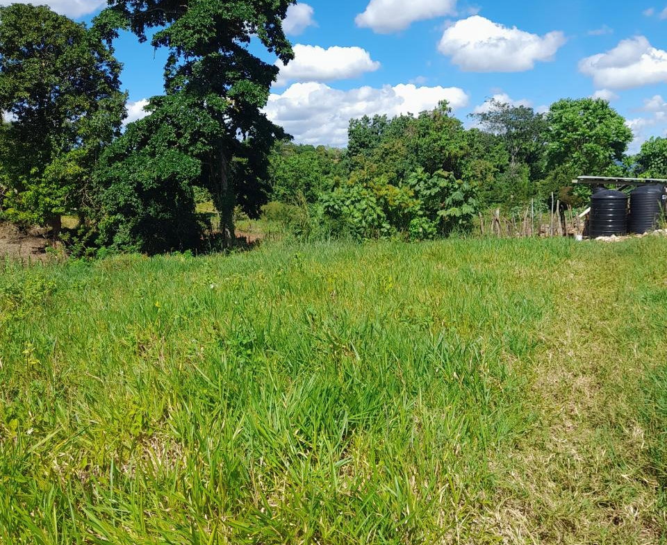 Second image of May Day Manchester in May Day, Manchester, Jamaica - property is For Sale