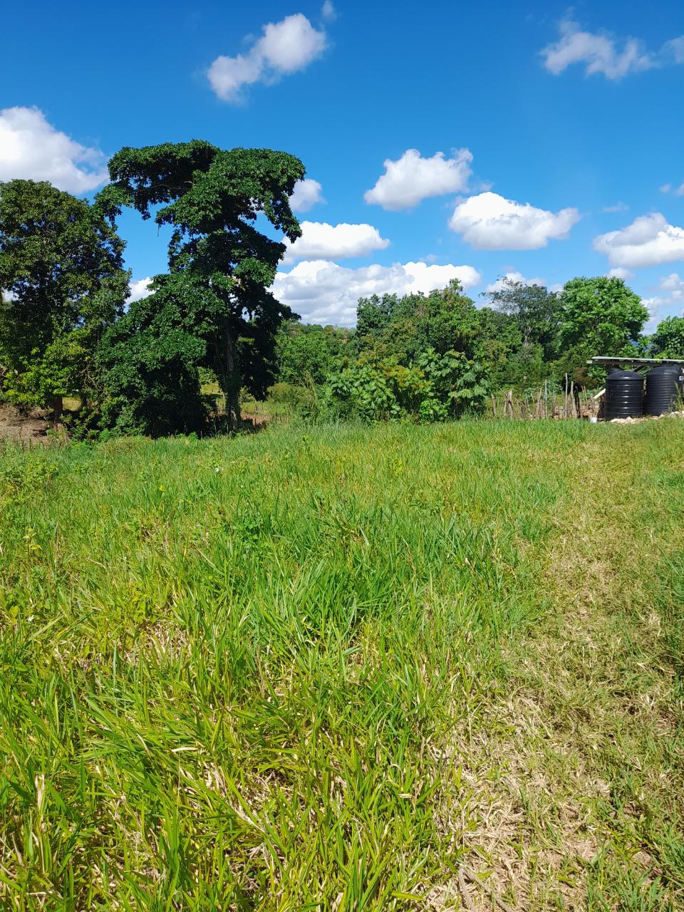 Second image of May Day Manchester in May Day, Manchester, Jamaica - property is For Sale