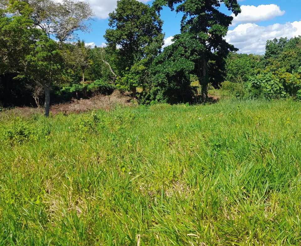 Fourth image of May Day Manchester in May Day, Manchester, Jamaica - property is For Sale