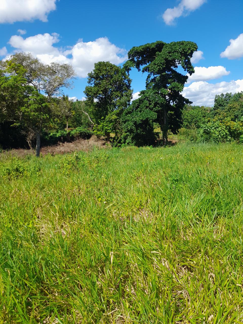 Fourth image of May Day Manchester in May Day, Manchester, Jamaica - property is For Sale