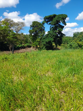 Fourth image of May Day Manchester in May Day, Manchester, Jamaica - property is For Sale