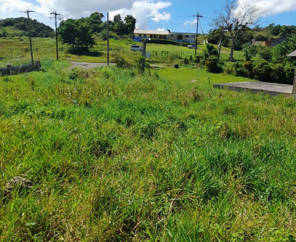 Fifth image of May Day Manchester in May Day, Manchester, Jamaica - property is For Sale