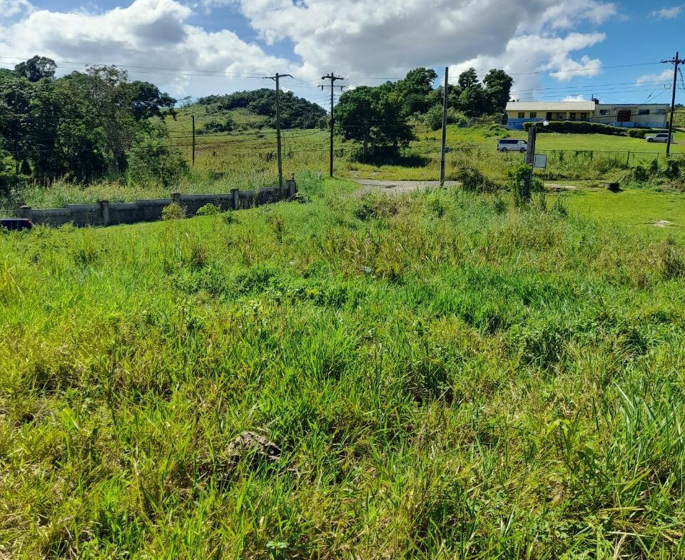 Sixth image of May Day Manchester in May Day, Manchester, Jamaica - property is For Sale