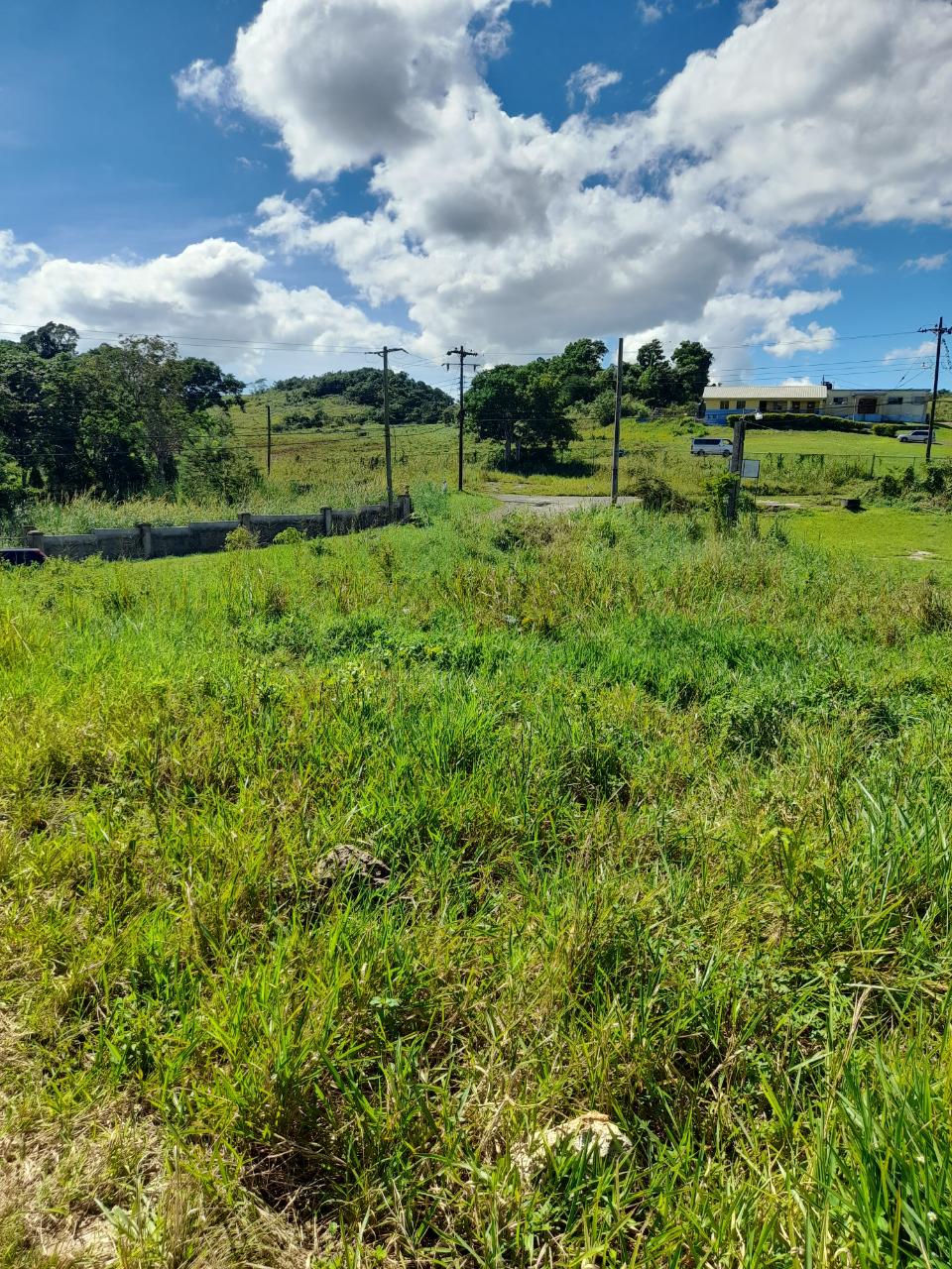 Sixth image of May Day Manchester in May Day, Manchester, Jamaica - property is For Sale