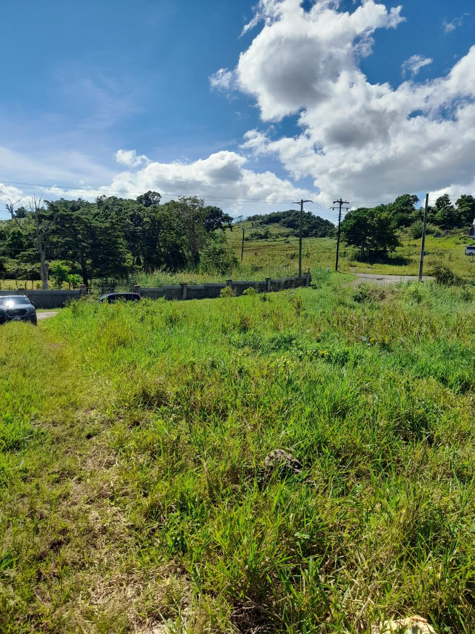 Seventh image of May Day Manchester in May Day, Manchester, Jamaica - property is For Sale