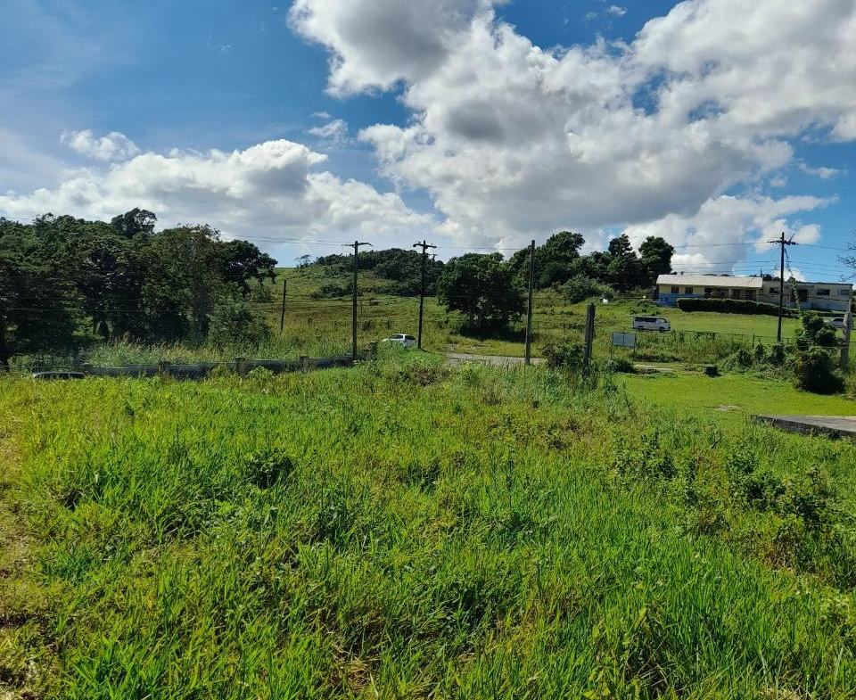 Eighth image of May Day Manchester in May Day, Manchester, Jamaica - property is For Sale