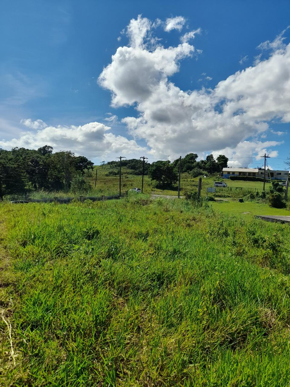 Eighth image of May Day Manchester in May Day, Manchester, Jamaica - property is For Sale