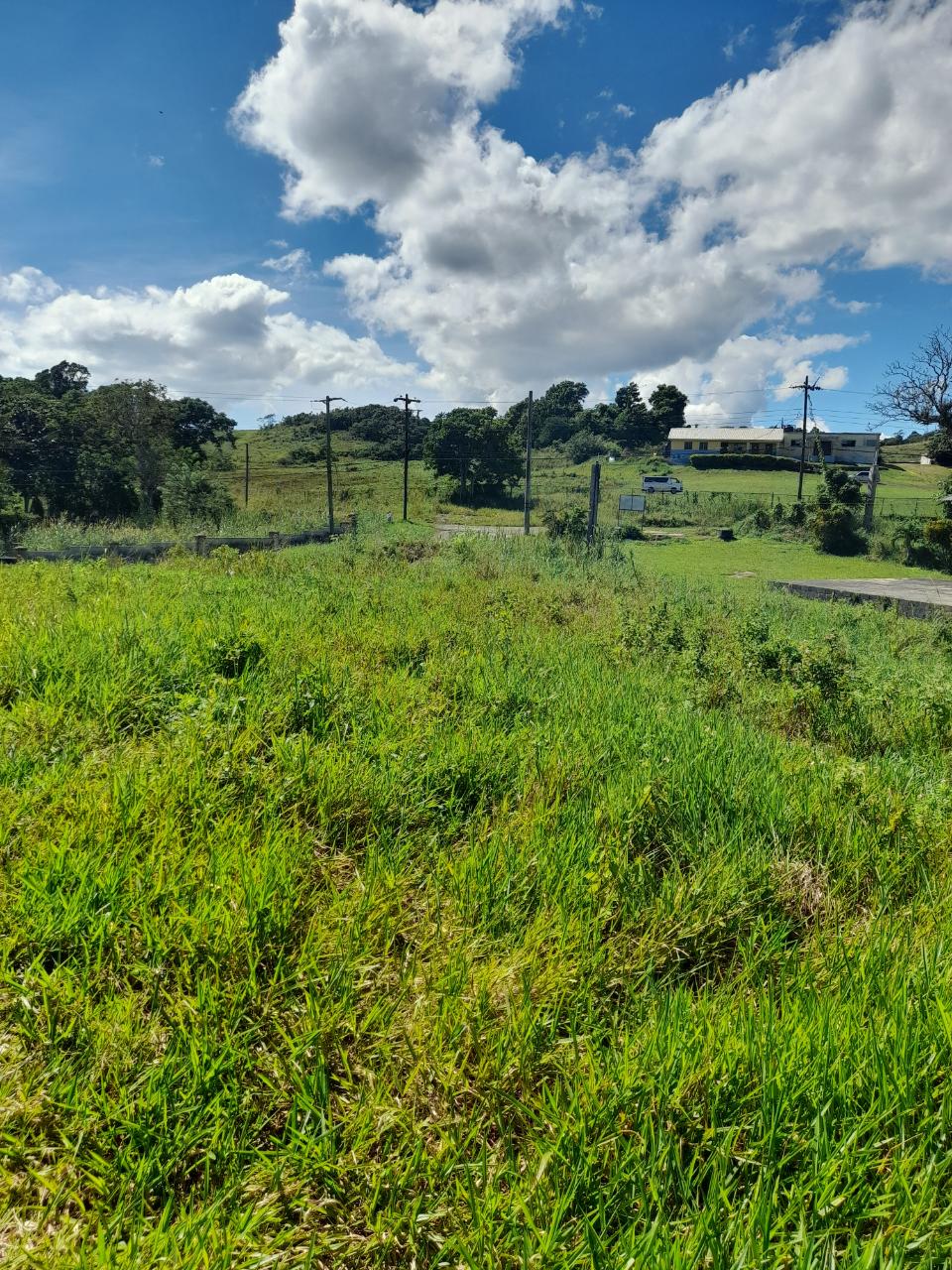 First image of May Day Manchester in May Day, Manchester, Jamaica - property is For Sale