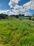 First image of May Day Manchester in May Day, Manchester, Jamaica - property is For Sale