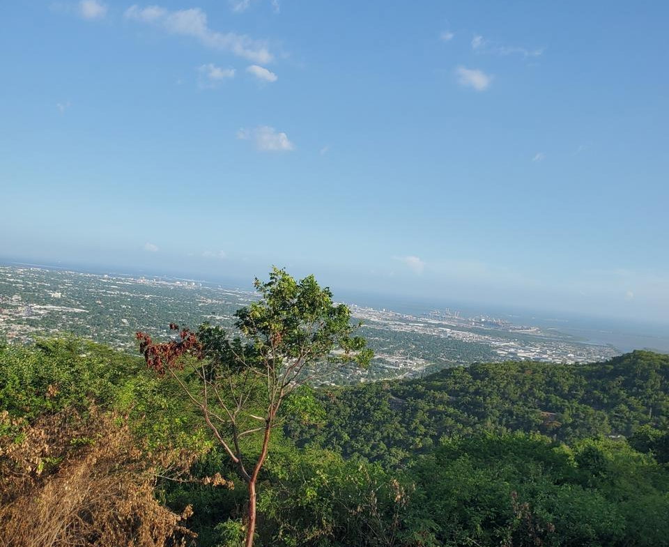 Second image of 10 West Kirkland Heights, re in Red Hills, St. Andrew, Jamaica - property is For Sale