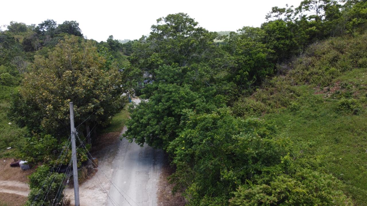 Fifteenth image of Hermitage in Ocho Rios, St. Ann, Jamaica - property is For Sale