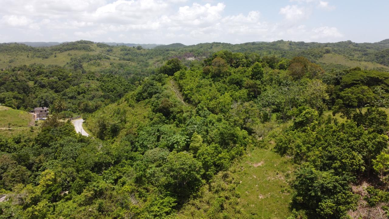 Third image of Hermitage in Ocho Rios, St. Ann, Jamaica - property is For Sale
