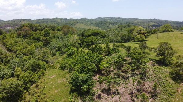 Fifth image of Hermitage in Ocho Rios, St. Ann, Jamaica - property is For Sale