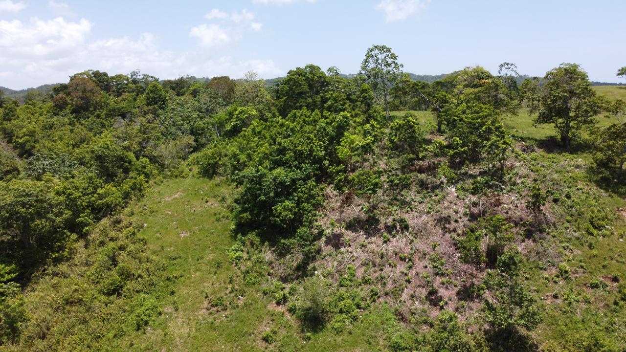 Tenth image of Hermitage in Ocho Rios, St. Ann, Jamaica - property is For Sale