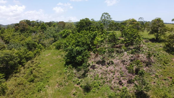 Tenth image of Hermitage in Ocho Rios, St. Ann, Jamaica - property is For Sale