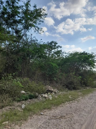 Second image of Lot 1 Coates Pen May Pen Claren in May Pen, Clarendon, Jamaica - property is For Sale