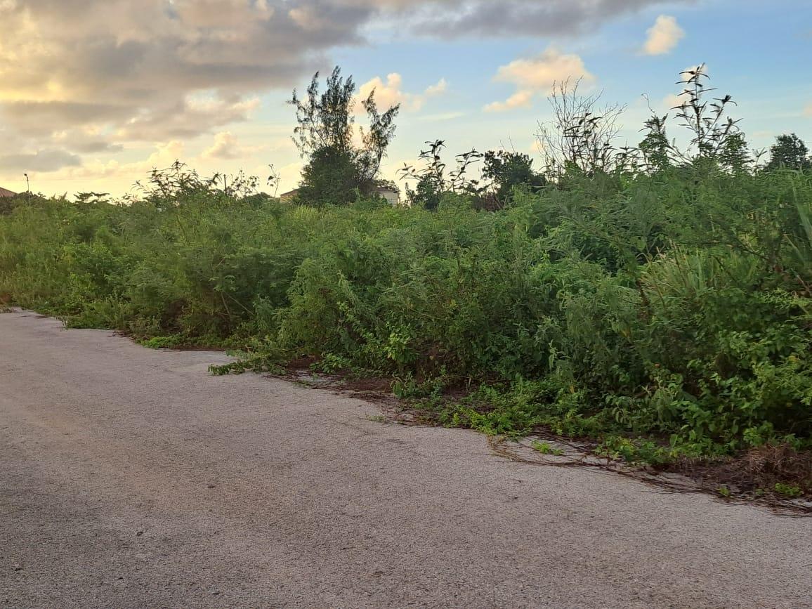 Second image of 94 Flamingo Beach, Falmouth, in Falmouth, Trelawny, Jamaica - property is For Rent