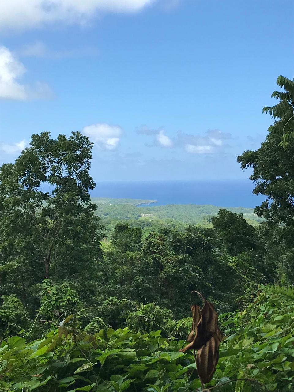 Prime-122-Acre-Development-Land-for-Sale-in-Long-Bay-Portland First image of Long Bay Portland in Long Bay, Portland, Jamaica - property is For Sale