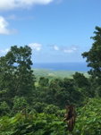 First image of Long Bay Portland in Long Bay, Portland, Jamaica - property is For Sale