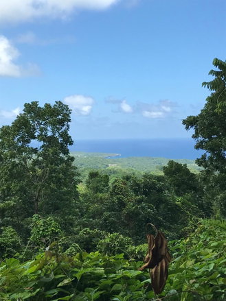 First image of Long Bay Portland in Long Bay, Portland, Jamaica - property is For Sale