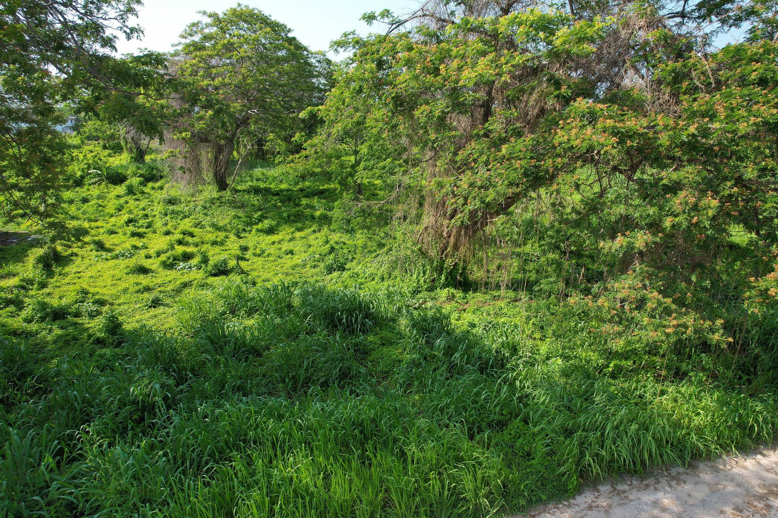 Eighth image of 68 Duncan’s Bay, Trelawny in DUNCAN BAY, Trelawny, Jamaica - property is For Sale