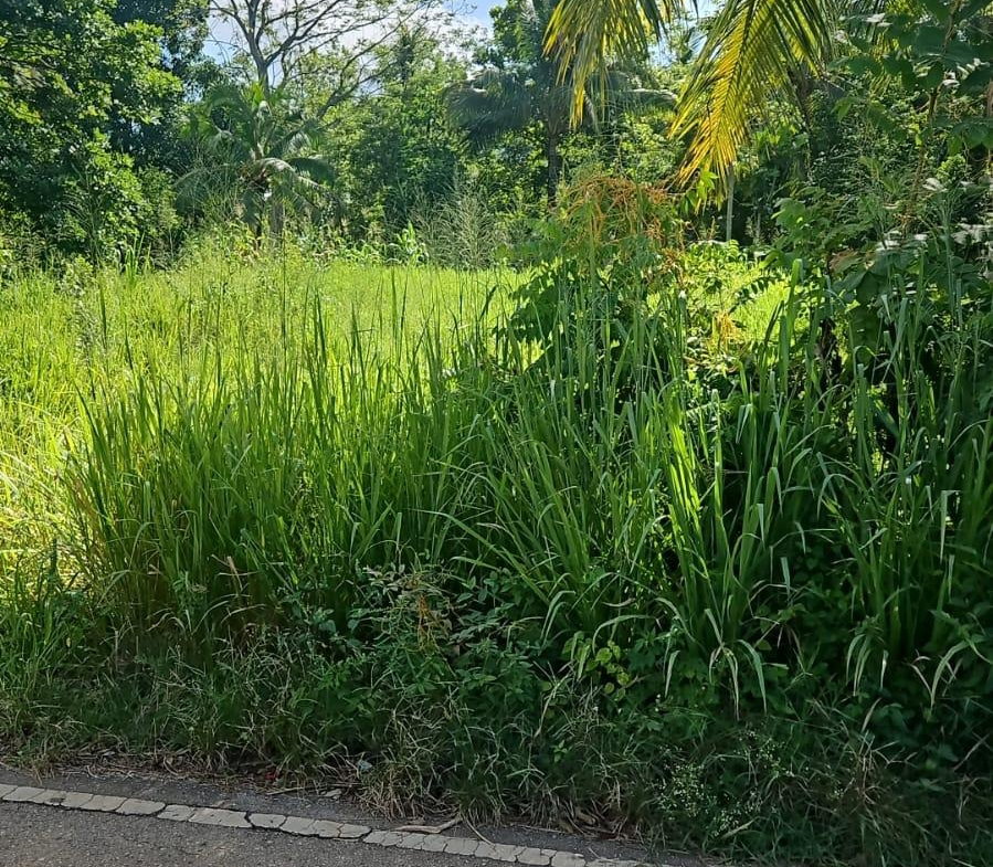 Second image of Leslie Street in Ewarton, St. Catherine, Jamaica - property is For Sale