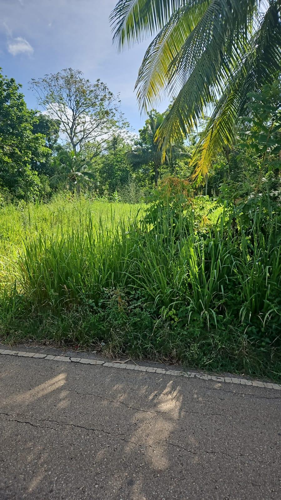 Second image of Leslie Street in Ewarton, St. Catherine, Jamaica - property is For Sale