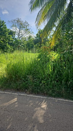 Second image of Leslie Street in Ewarton, St. Catherine, Jamaica - property is For Sale