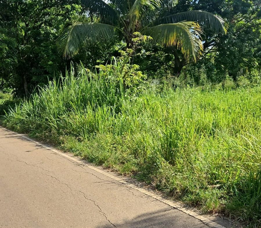 Third image of Leslie Street in Ewarton, St. Catherine, Jamaica - property is For Sale