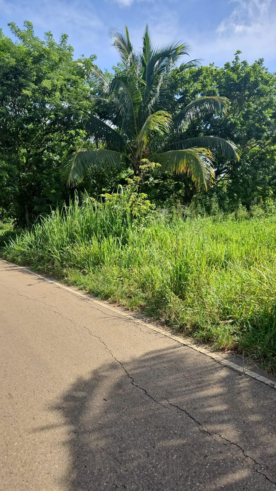 Third image of Leslie Street in Ewarton, St. Catherine, Jamaica - property is For Sale