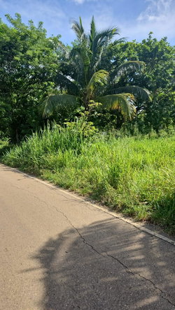 Third image of Leslie Street in Ewarton, St. Catherine, Jamaica - property is For Sale