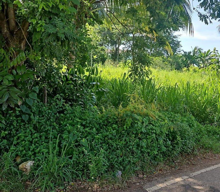 Fourth image of Leslie Street in Ewarton, St. Catherine, Jamaica - property is For Sale