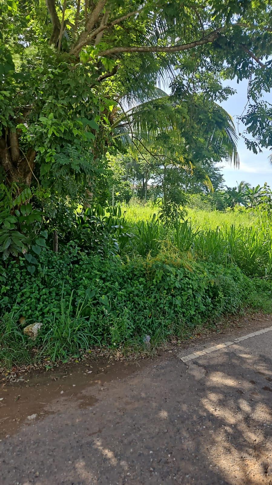 Fourth image of Leslie Street in Ewarton, St. Catherine, Jamaica - property is For Sale