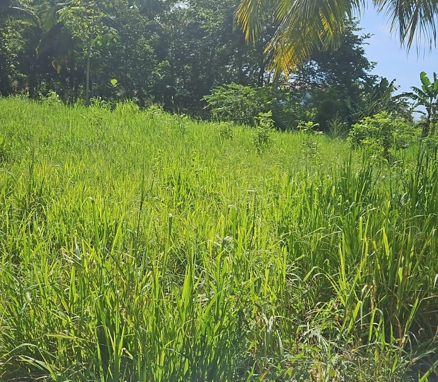 Fifth image of Leslie Street in Ewarton, St. Catherine, Jamaica - property is For Sale