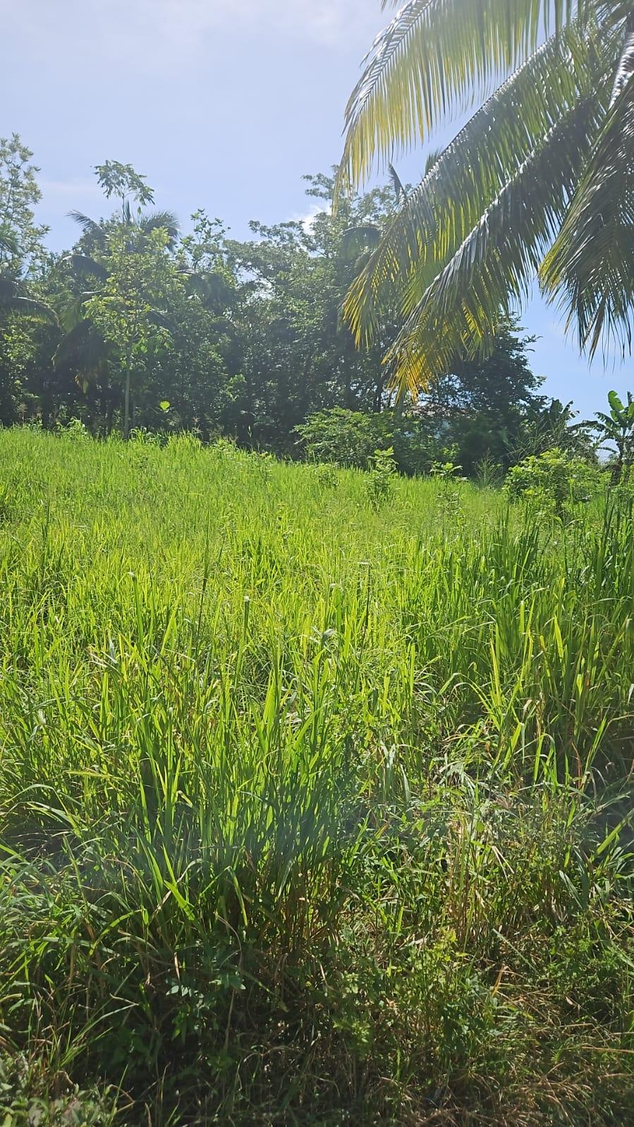 Fifth image of Leslie Street in Ewarton, St. Catherine, Jamaica - property is For Sale