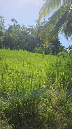 Fifth image of Leslie Street in Ewarton, St. Catherine, Jamaica - property is For Sale