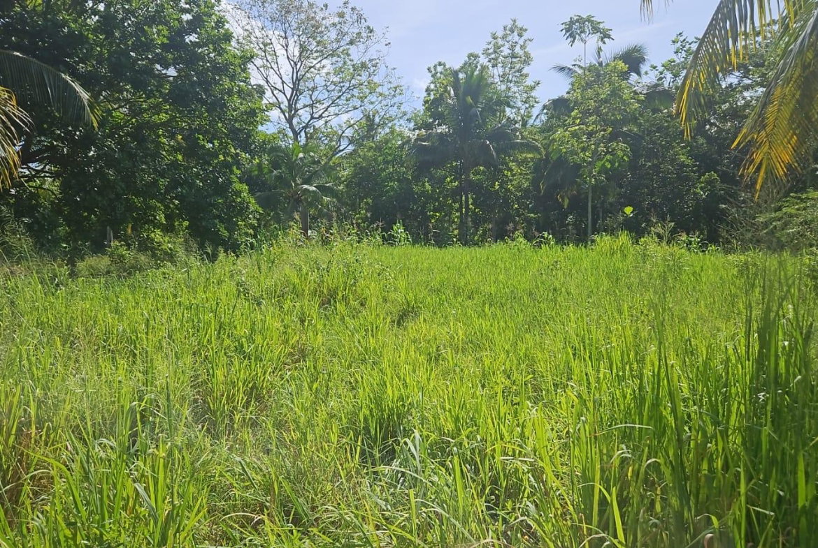 Sixth image of Leslie Street in Ewarton, St. Catherine, Jamaica - property is For Sale