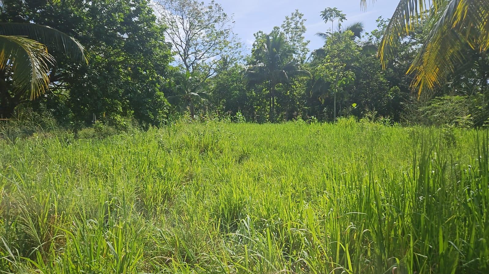 Sixth image of Leslie Street in Ewarton, St. Catherine, Jamaica - property is For Sale