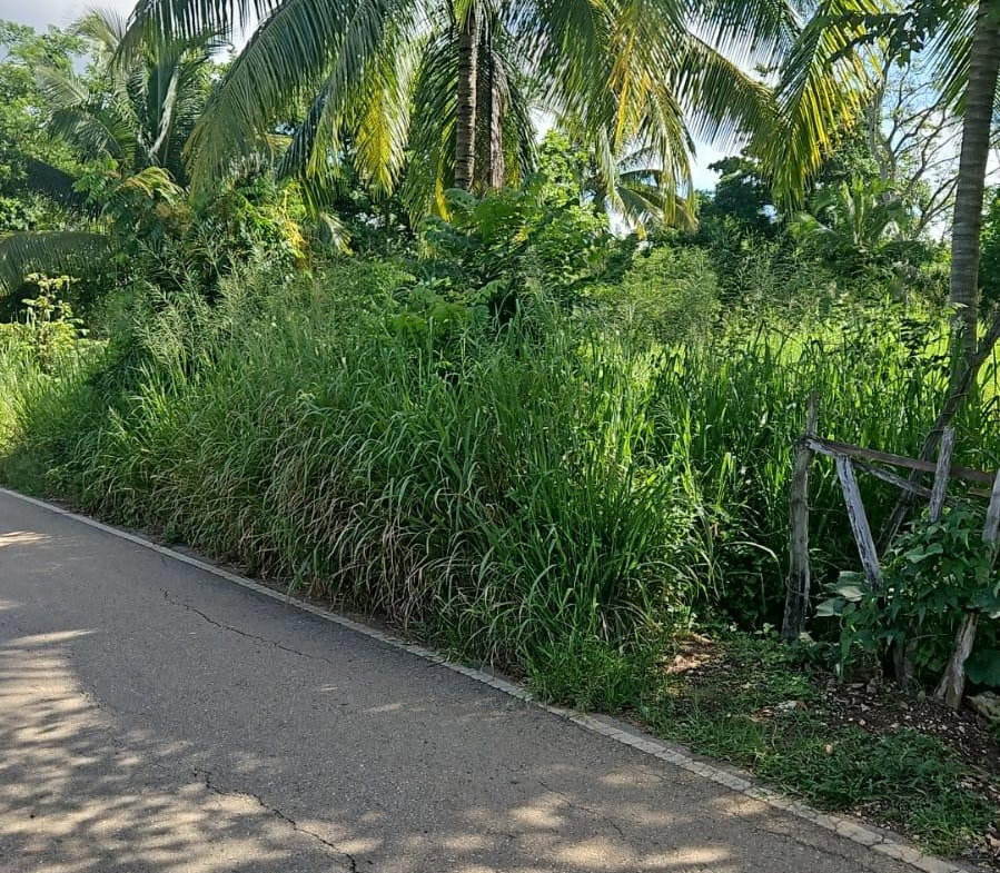 Eighth image of Leslie Street in Ewarton, St. Catherine, Jamaica - property is For Sale
