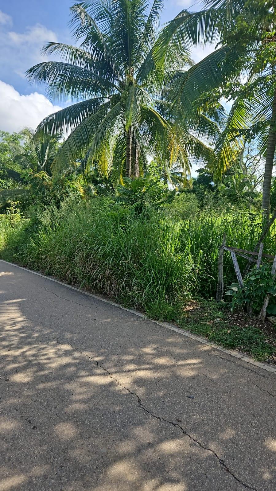 Eighth image of Leslie Street in Ewarton, St. Catherine, Jamaica - property is For Sale