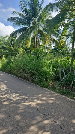 Eighth image of Leslie Street in Ewarton, St. Catherine, Jamaica - property is For Sale