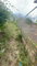 First image of 362 Century Boulevard in Green Acres, St. Catherine, Jamaica - property is For Sale