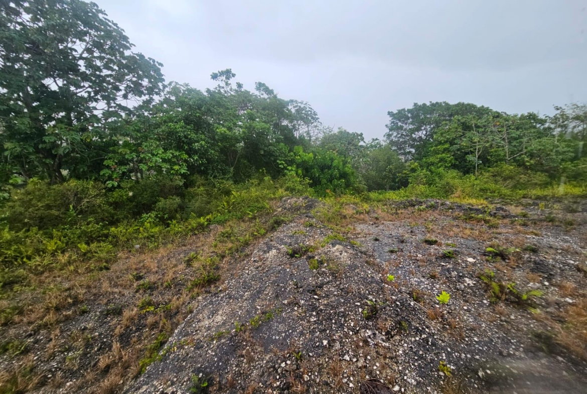 Second image of 112 New Wales in Knockpatirck, Manchester, Jamaica - property is For Sale