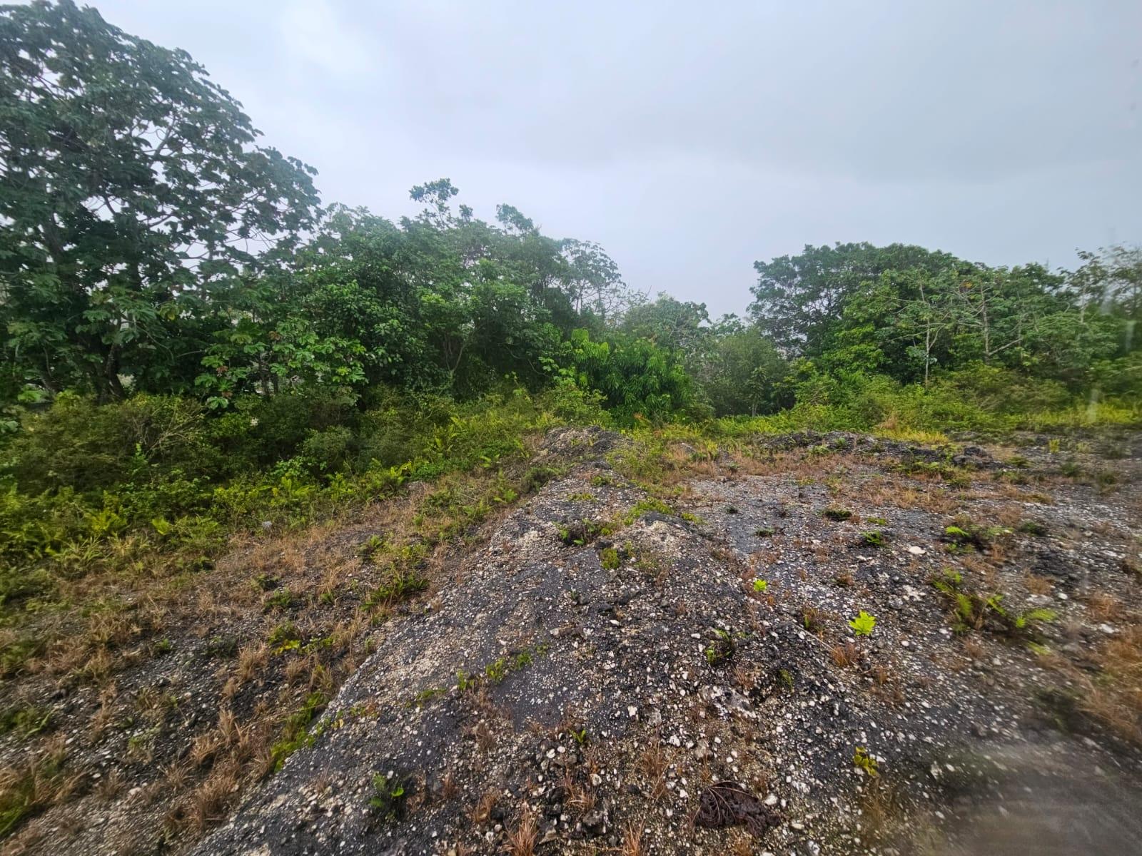 Prime-13-Acre-Residential-Lot-for-Sale-in-Manchester-Jamaica Second image of 112 New Wales in Knockpatirck, Manchester, Jamaica - property is For Sale