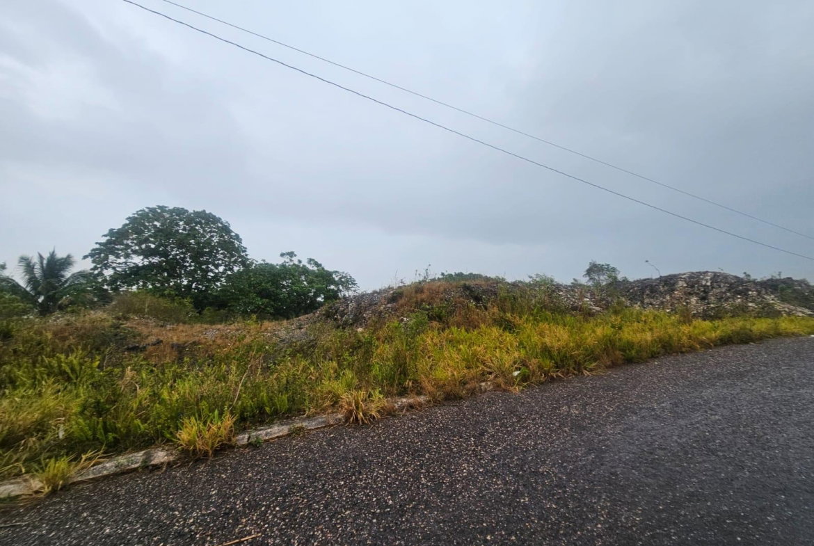 First image of 112 New Wales in Knockpatirck, Manchester, Jamaica - property is For Sale
